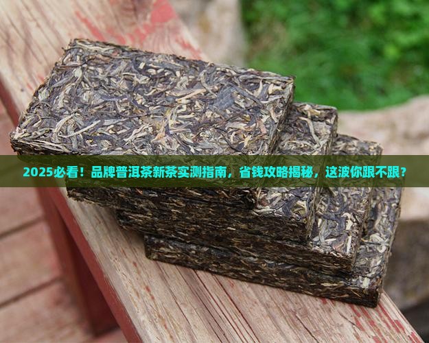 品牌普洱茶新茶