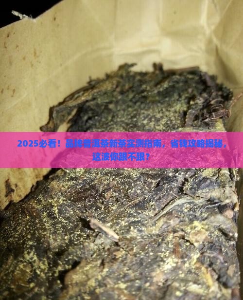 品牌普洱茶新茶