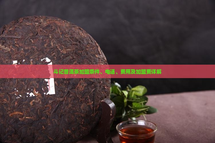 斗记普洱茶加盟