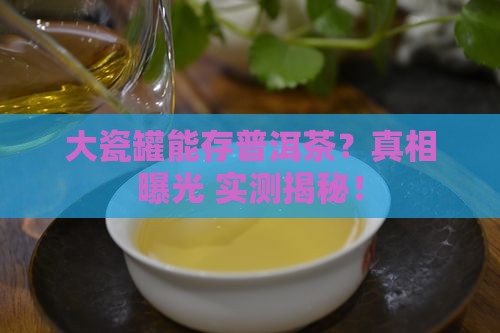 大瓷罐能存放普洱茶吗