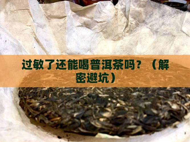过敏普洱茶能喝么