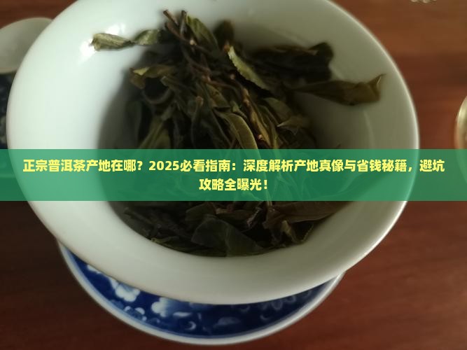 正宗普洱茶产地在哪