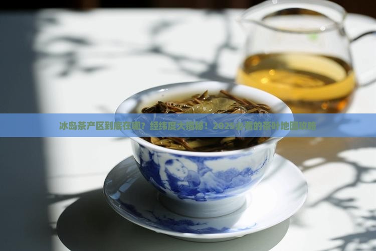 冰岛茶产区经纬度