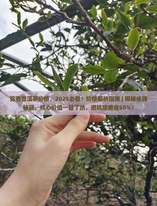 弥香普洱茶价格