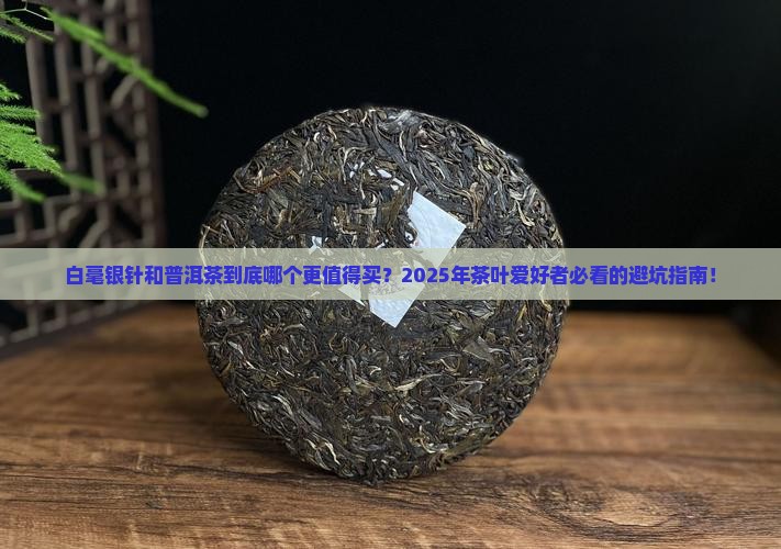 白毫银针和普洱茶