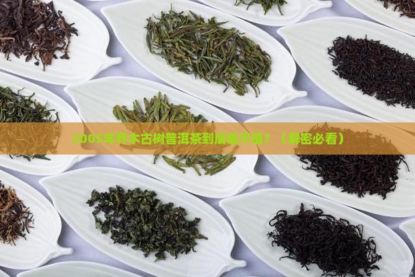 2005年乔木古树普洱茶