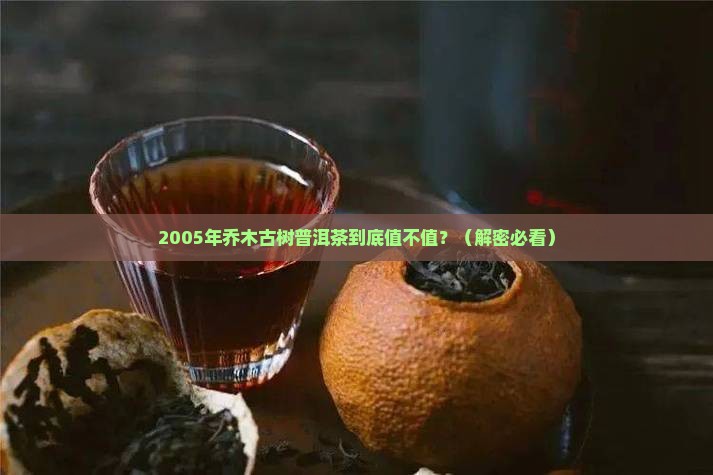 2005年乔木古树普洱茶