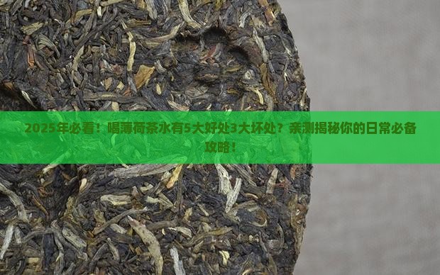 喝薄荷茶水的好处与坏处