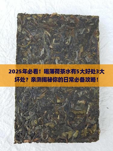 喝薄荷茶水的好处与坏处