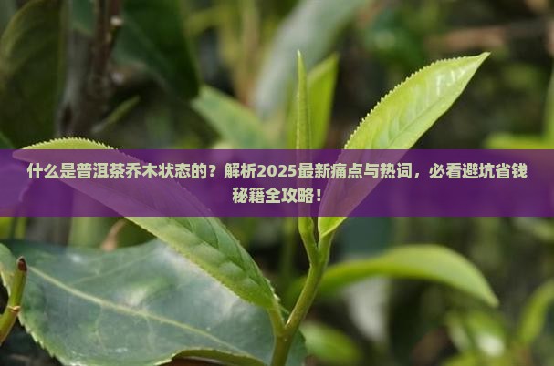 什么是普洱茶乔木状态的