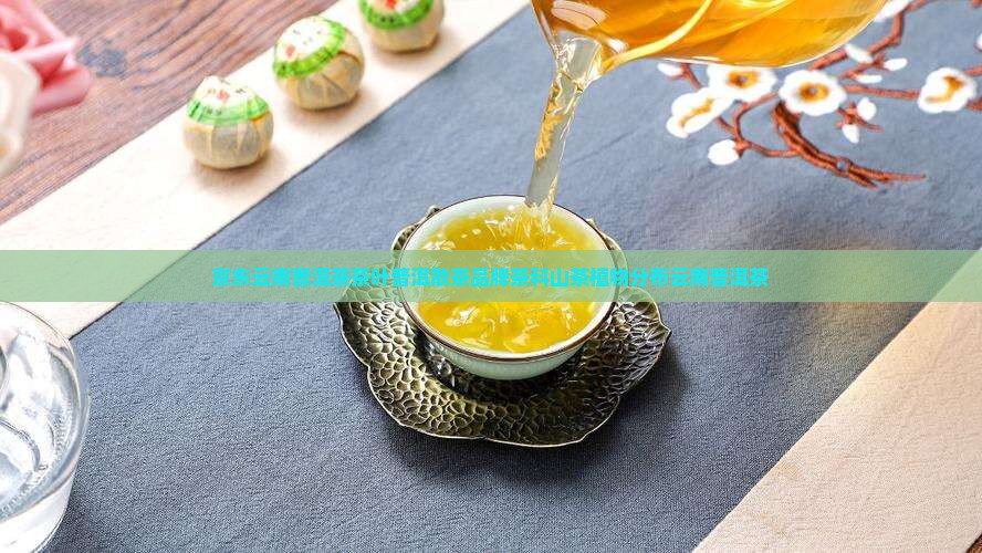 普洱茶熟茶散茶云南茶