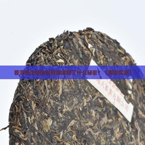 普洱茶生茶的喉韵 普洱茶生茶的喉韵