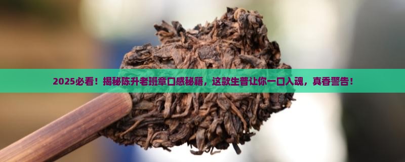 类似陈升老班章口感的生普