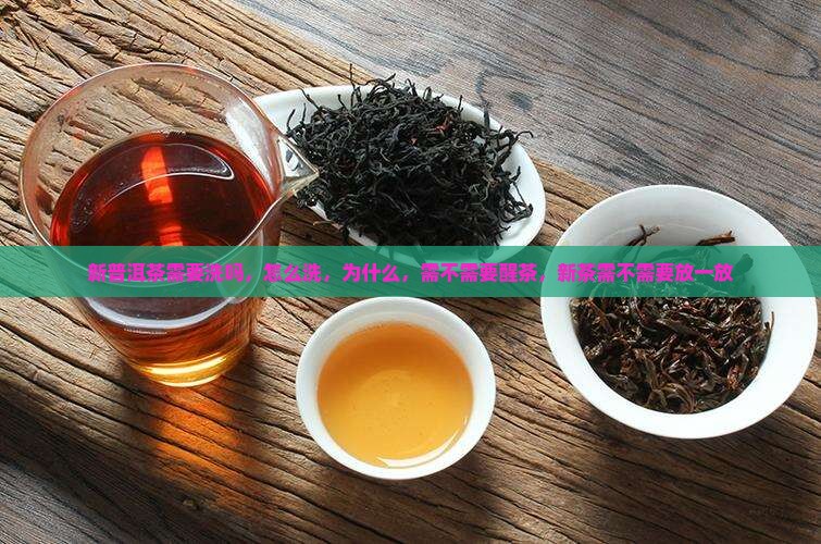 新普洱茶需要洗吗