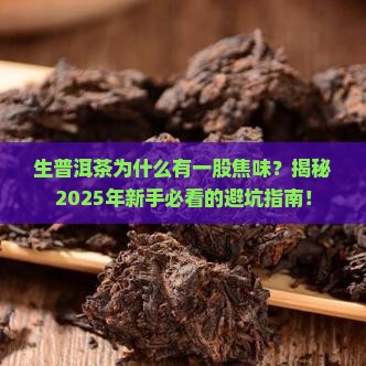 生普洱茶为什么有一股焦味