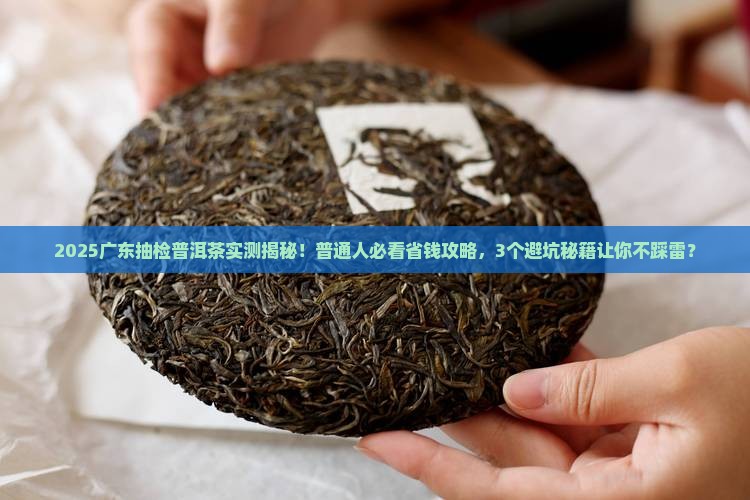 广东省抽检普洱茶