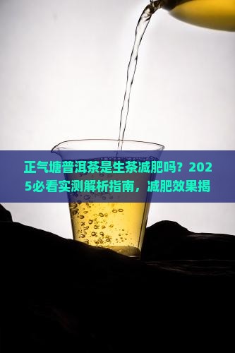 正气塘普洱茶是生茶减肥