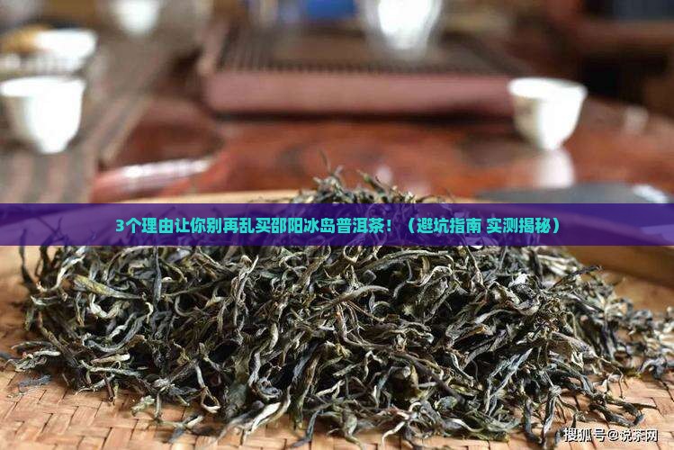邵阳冰岛普洱茶