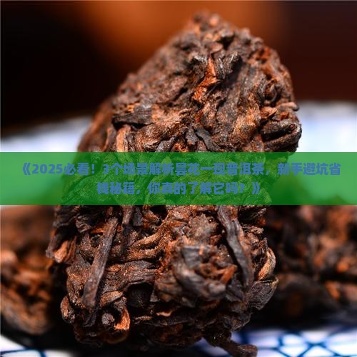 昙花一现普洱茶