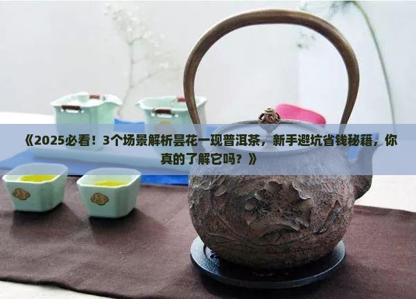昙花一现普洱茶