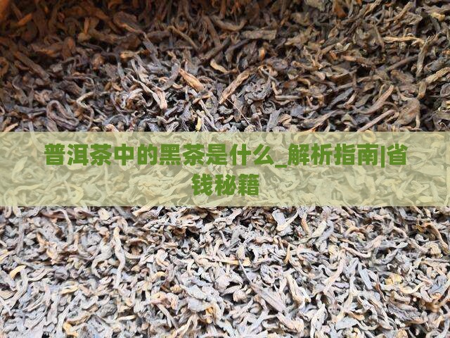 普洱茶中的黑茶是什么