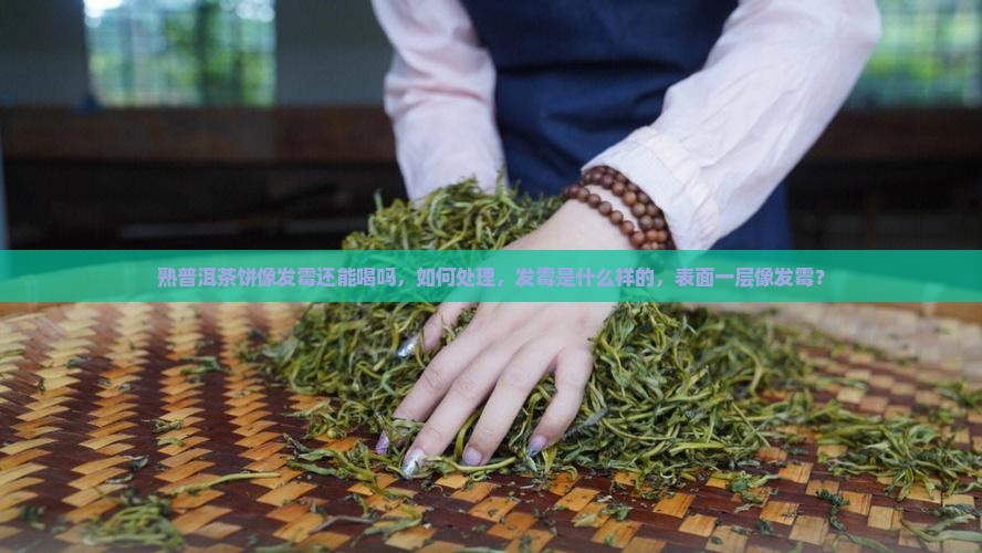 熟普洱茶饼像发霉