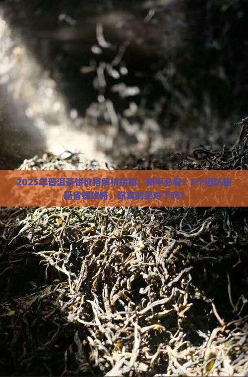 2012年普洱茶饼价格