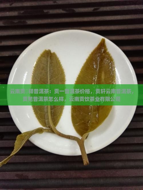 云南贡汑驿普洱茶