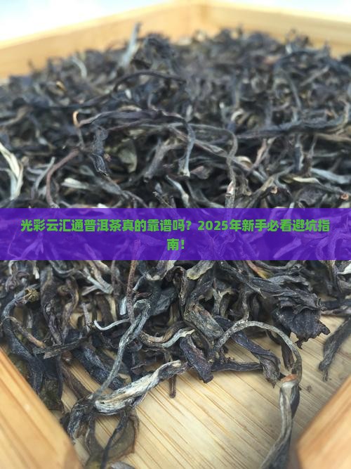 光彩云汇通普洱茶