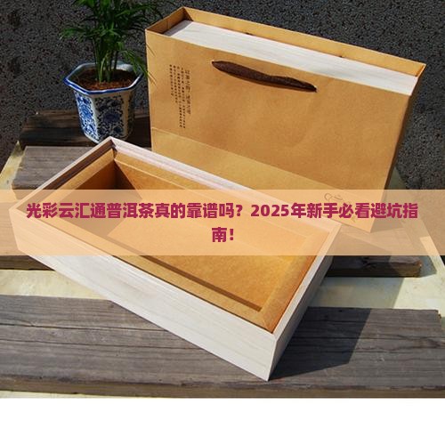 光彩云汇通普洱茶