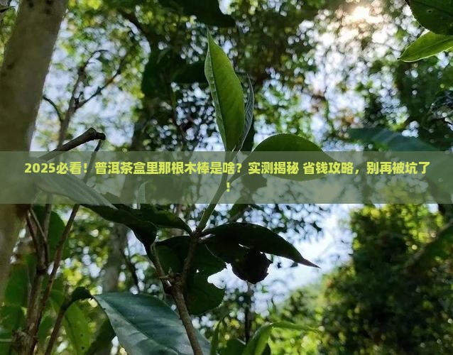 普洱茶盒中的木棒是什么