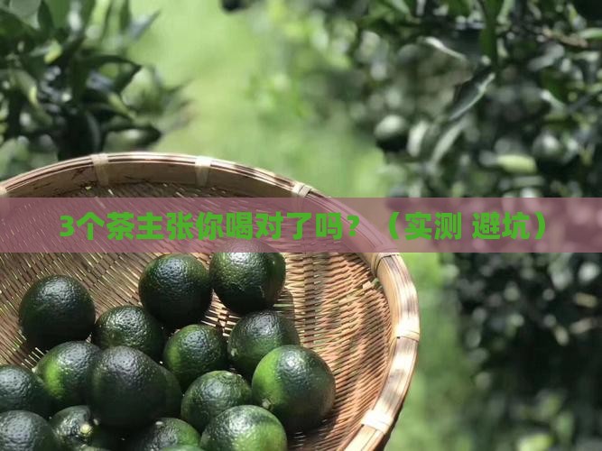 茶主张哪个好喝