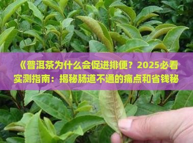 普洱茶为什么会促进排便