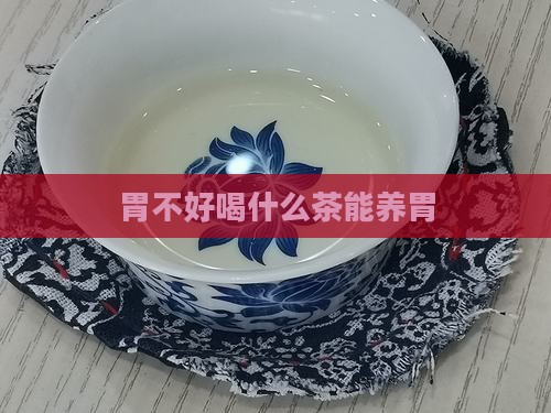 胃不好喝什么茶能养胃