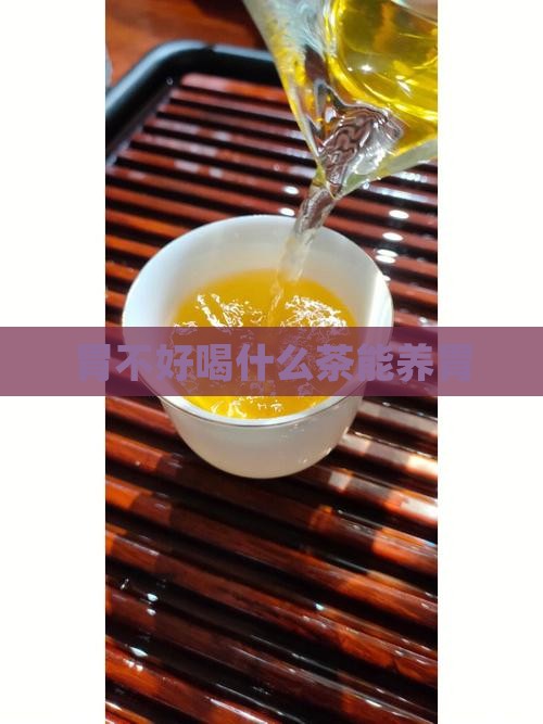 胃不好喝什么茶能养胃