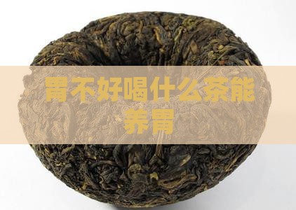胃不好喝什么茶能养胃