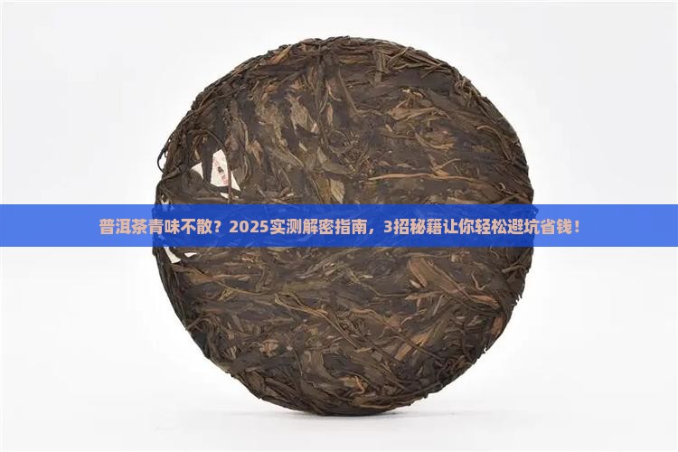 普洱茶有青味怎么解