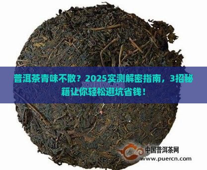 普洱茶有青味怎么解