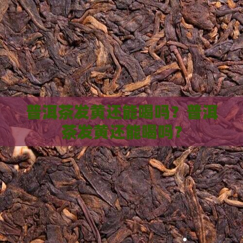 冰岛普洱茶发黄能喝吗