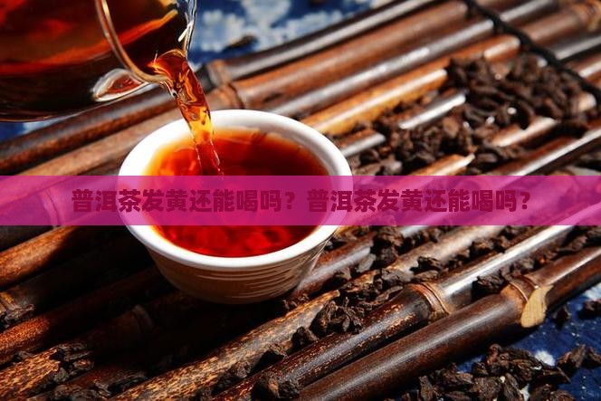 冰岛普洱茶发黄能喝吗