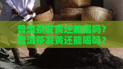 冰岛普洱茶发黄能喝吗