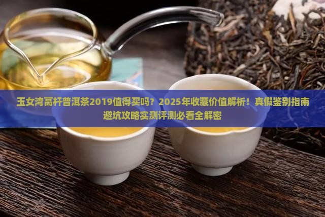 玉女湾高杆普洱茶2019