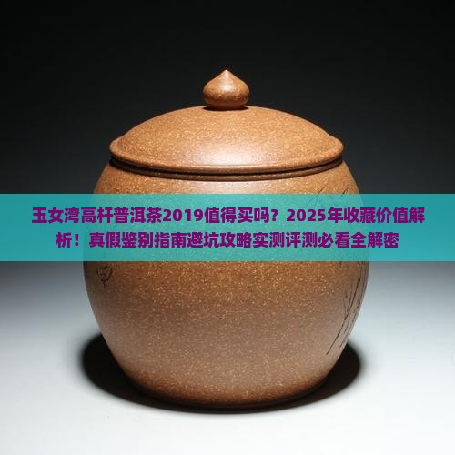 玉女湾高杆普洱茶2019