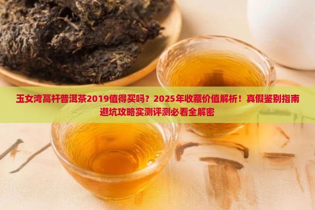 玉女湾高杆普洱茶2019
