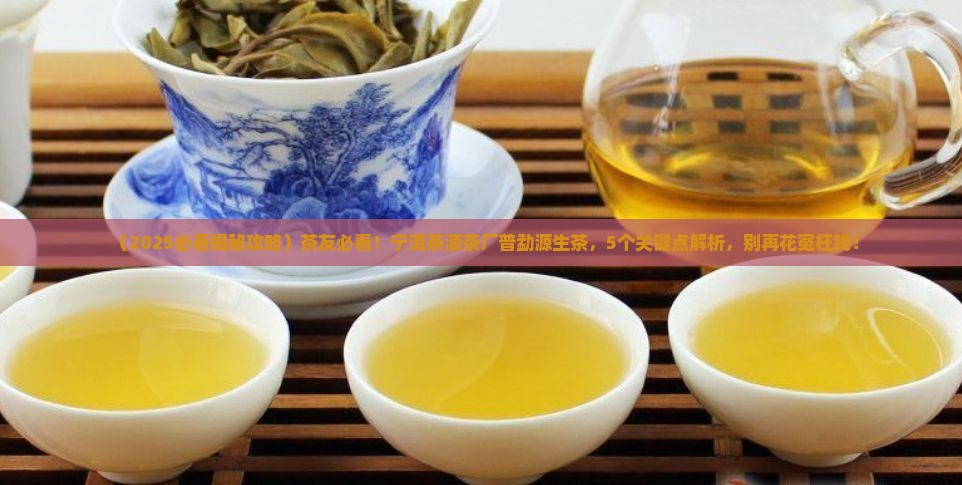 宁洱茶源茶厂普勐源生茶