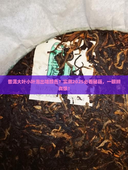 普洱大叶和小叶泡出颜色