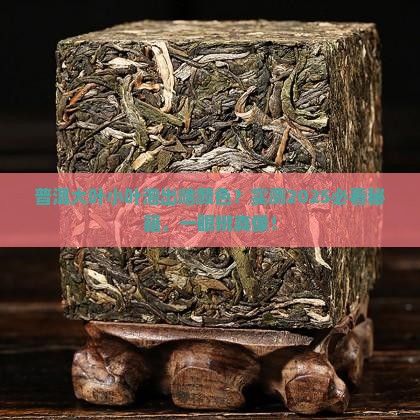 普洱大叶和小叶泡出颜色