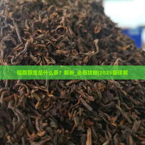 福鼎飘雪是什么茶