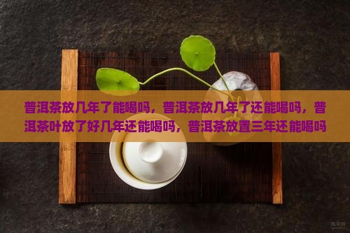 普洱茶放几年了能喝吗