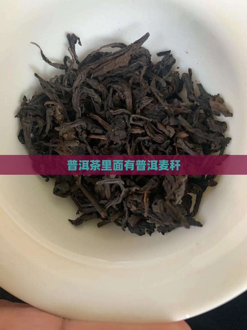 普洱茶里面有麦秆
